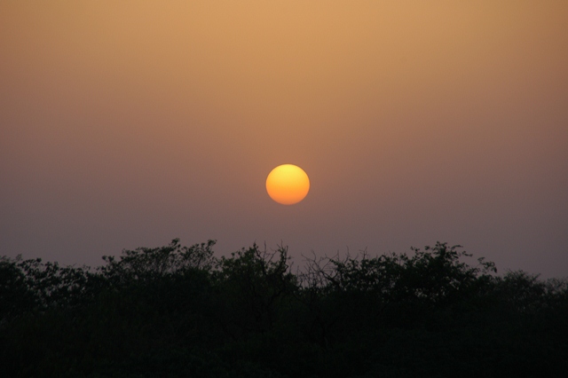 408_India_Alipura_Sunset.JPG