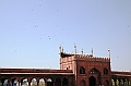 011_India_New_Delhi_Jama_Masjid