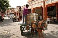 059_India_Jaipur