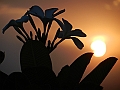 129_India_Jaipur_Sunset