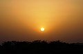 407_India_Alipura_Sunset