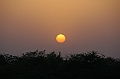 408_India_Alipura_Sunset