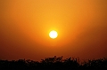 470_India_Alipura_Sunset