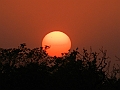 471_India_Alipura_Sunset