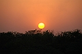 475_India_Alipura_Sunset