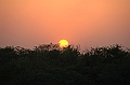 476_India_Alipura_Sunset
