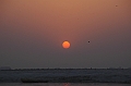 531_India_Varanasi_Sunrise