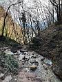 089_Italien_Suedtirol_Rastenbachklamm
