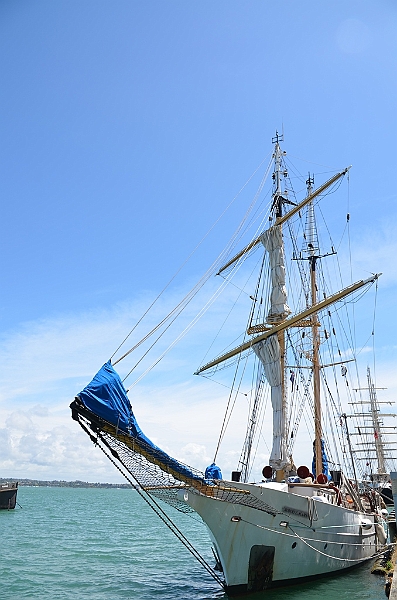 060_New_Zealand_Auckland.JPG