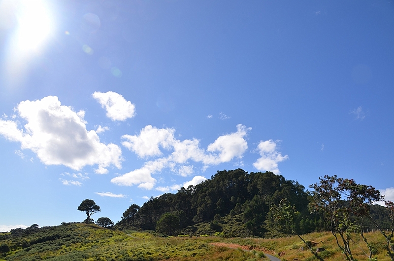017_New_Zealand_Coromandel_Peninsula.JPG