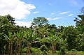 036_Papua_New_Guinea_Alotau