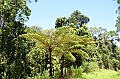 025_Australia_Queensland_Barron_Gorge_NP