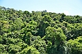 040_Australia_Queensland_Skyrail_Rainforest_Cableway