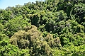 041_Australia_Queensland_Skyrail_Rainforest_Cableway