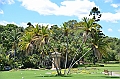 067_Australia_Sydney_Royal_Botanic_Gardens