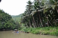 220_Philippines_Bohol_Loboc_River_Cruise