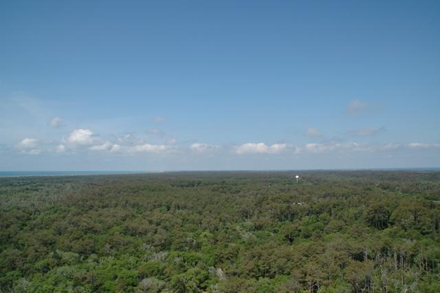 89_Outer_Banks_Cape_Hatteras.JPG