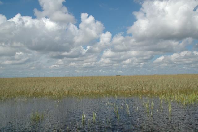 180_USA_Everglades_National_Park.JPG