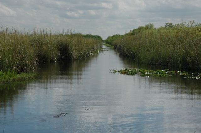 189_USA_Everglades_National_Park.JPG