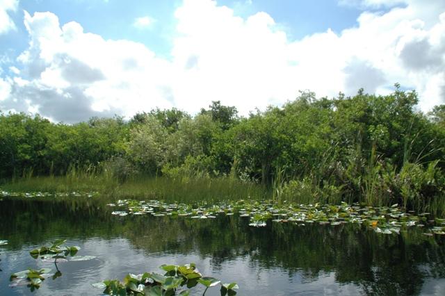 193_USA_Everglades_National_Park.JPG