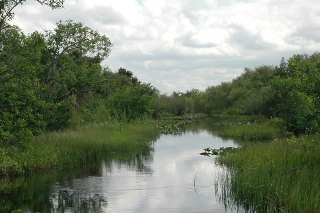 204_USA_Everglades_National_Park.JPG