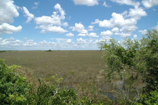 210_USA_Everglades_National_Park.JPG