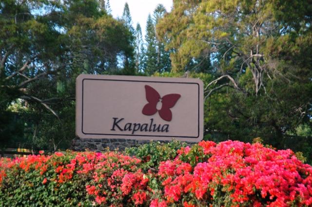 164_USA_Hawaii_Maui_Kapalua.JPG