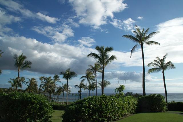 181_USA_Hawaii_Maui_Kapalua.JPG