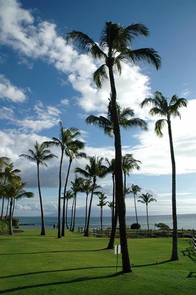 183_USA_Hawaii_Maui_Kapalua.JPG