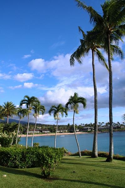 199_USA_Hawaii_Maui_Kapalua_Kapalua_Bay.JPG