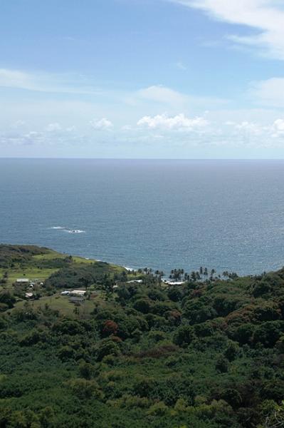 236_USA_Hawaii_Maui_The_Road_to_Hana.JPG