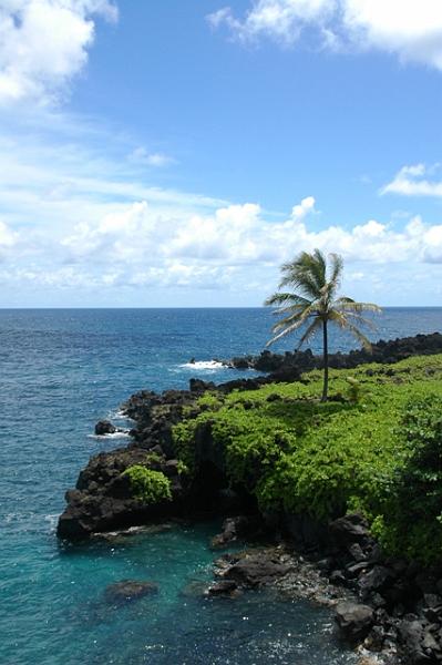 242_USA_Hawaii_Maui_The_Road_to_Hana.JPG