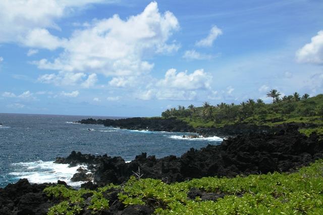 243_USA_Hawaii_Maui_The_Road_to_Hana.JPG