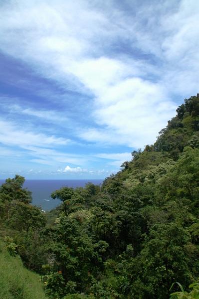 248_USA_Hawaii_Maui_The_Road_to_Hana.JPG