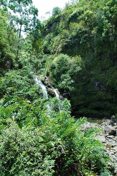 249_USA_Hawaii_Maui_The_Road_to_Hana.JPG