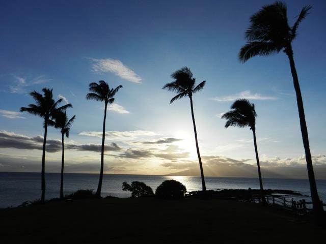 318_USA_Hawaii_Maui_Kapalua.JPG