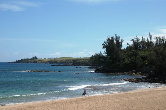 322_USA_Hawaii_Maui_Kapalua_D_T_Fleming_Beach.JPG