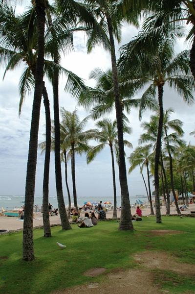 38_USA_Hawaii_Oahu_Honolulu_Waikiki.JPG