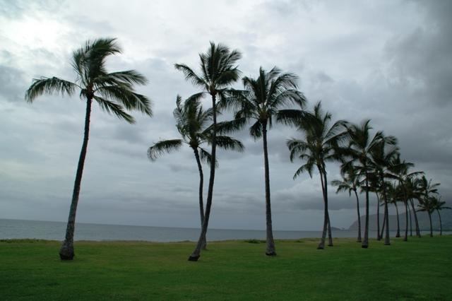 50_USA_Hawaii_Oahu_Waianae.JPG