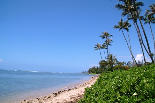 71_USA_Hawaii_Oahu_Maunalua_Bay.JPG