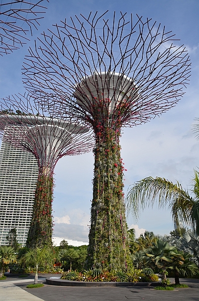 030_Singapore_Gardens_by_the_Bay.JPG