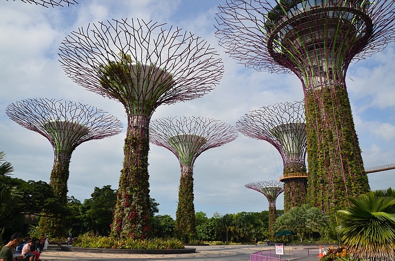 032_Singapore_Gardens_by_the_Bay.JPG