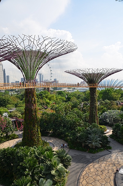 038_Singapore_Gardens_by_the_Bay.JPG