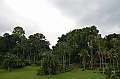 172_Singapore_Botanic_Gardens