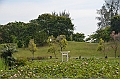 242_Singapore_Japanese_Garden