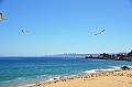 145_Chile_Vina_del_Mar