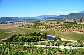 196_Chile_Indomita_Winery