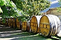 210_Chile_Concha_y_Toro_Winery