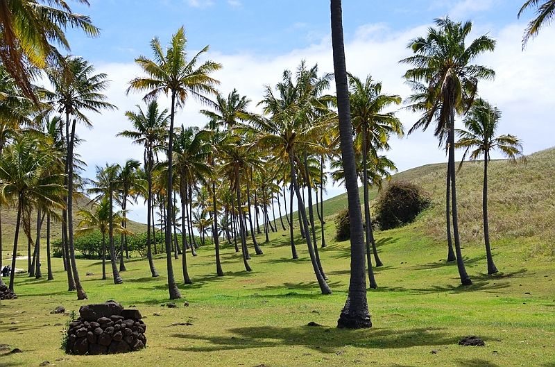 028_Chile_Easter_Island_Anakena.JPG