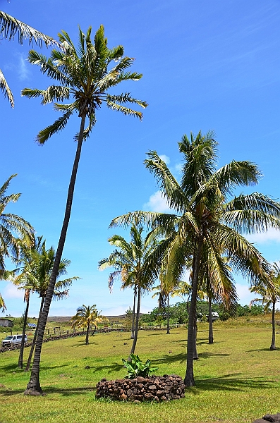 029_Chile_Easter_Island_Anakena.JPG